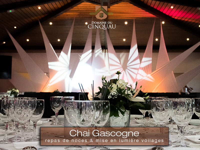 Domaine du Cinquau_64230 ARTIGUELOUVE_5